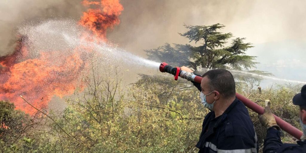 Algérie en Feu : Les Incendies Ravagent Six Wilayas, une Nation sur le Qui-Vive